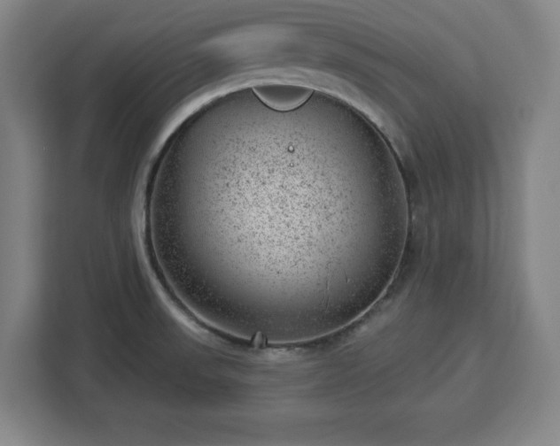 X0000112921523200908311247
