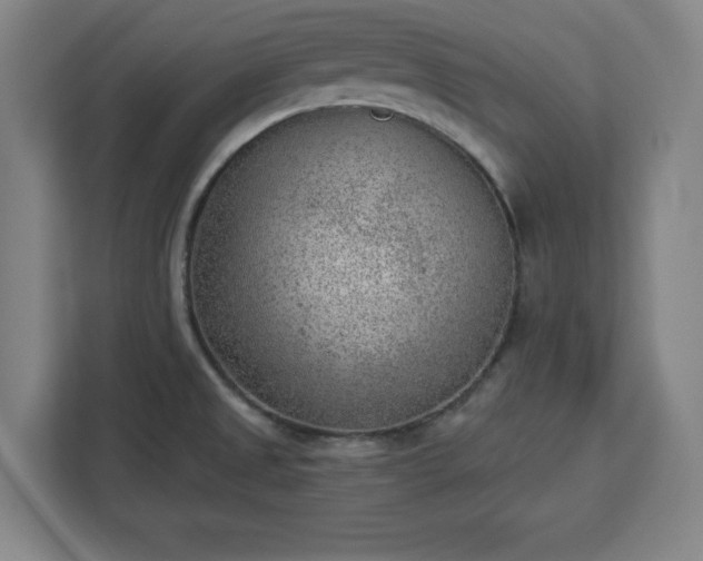 X0000112921525200908311247