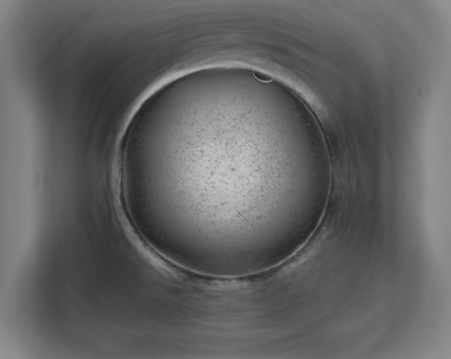 X0000112921526200908311247