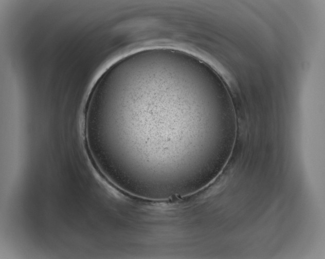 X0000112921527200908311247