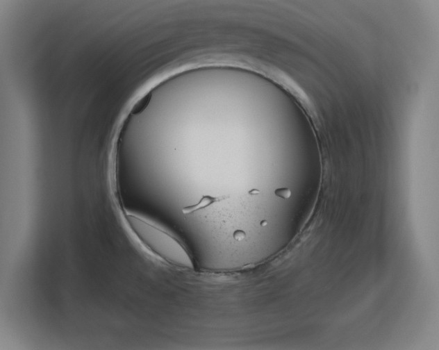 X0000112921528200908311247