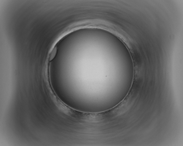 X0000112921530200908311247