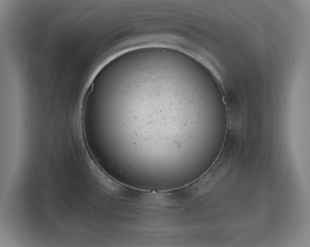 X0000112921532200908311247
