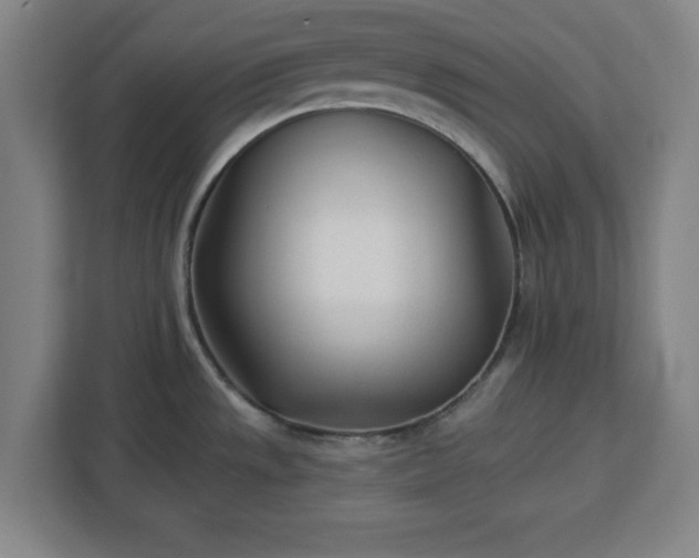 X0000112921533200908311247