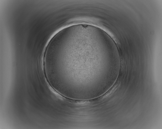 X0000112921535200908311247
