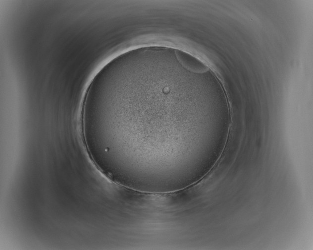 X0000112921536200908311247
