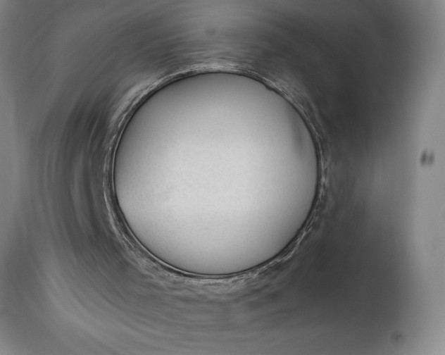 X0000112920001200909080945