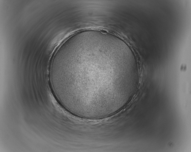 X0000112920002200909080945