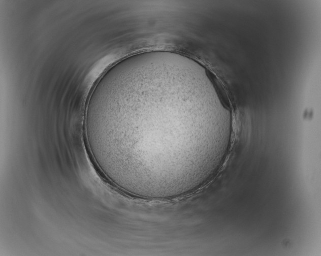 X0000112920003200909080945