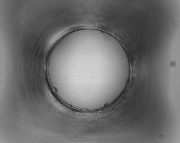 X0000112920005200909080944