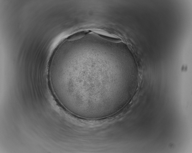 X0000112920006200909080944