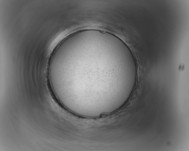 X0000112920007200909080944