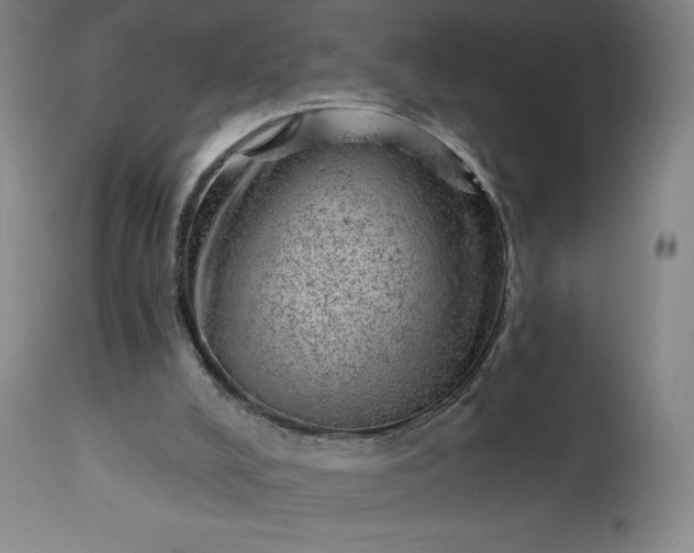 X0000112920008200909080944