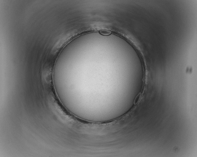 X0000112920009200909080944