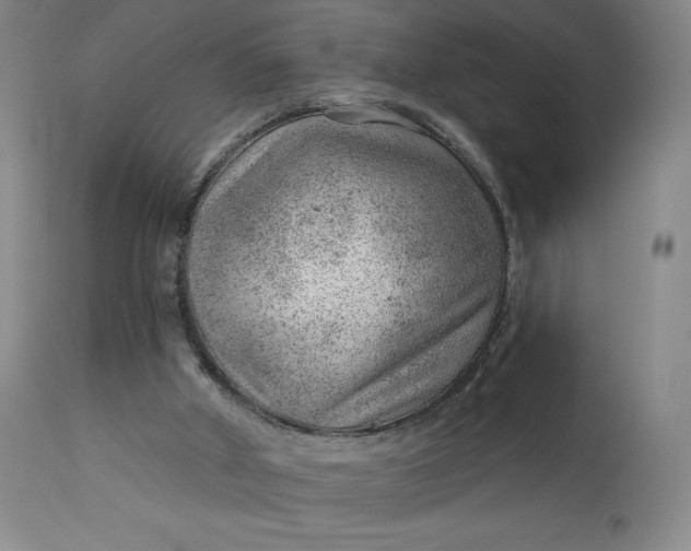 X0000112920010200909080944