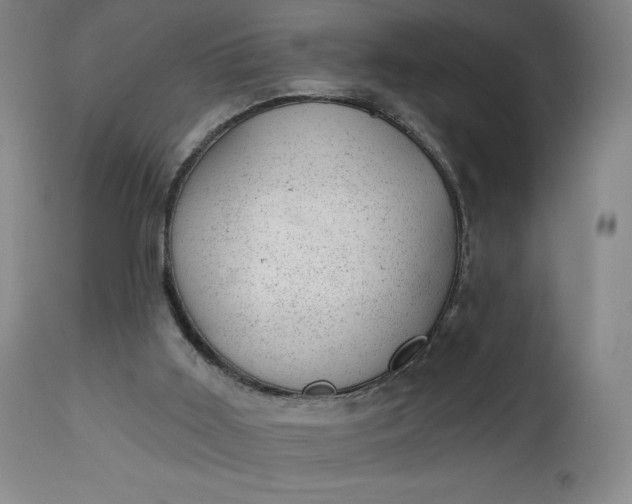 X0000112920011200909080944