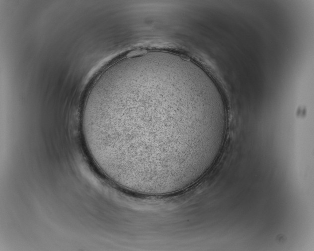 X0000112920012200909080944