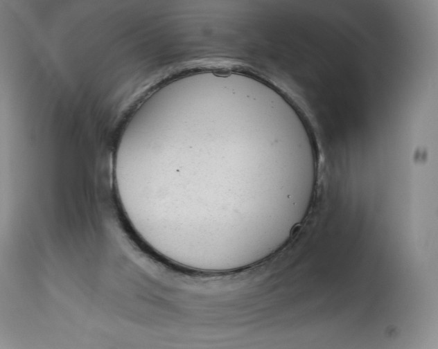 X0000112920013200909080944
