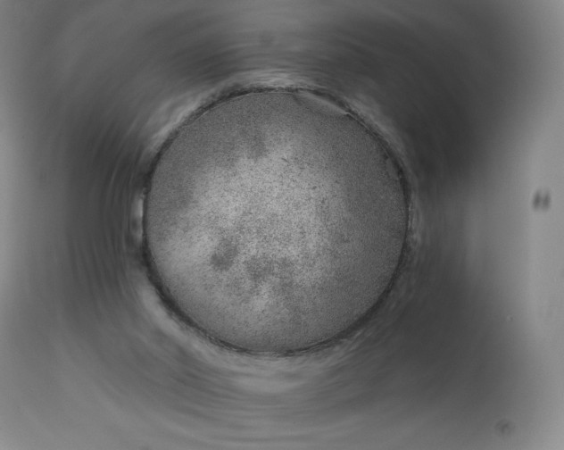 X0000112920014200909080944