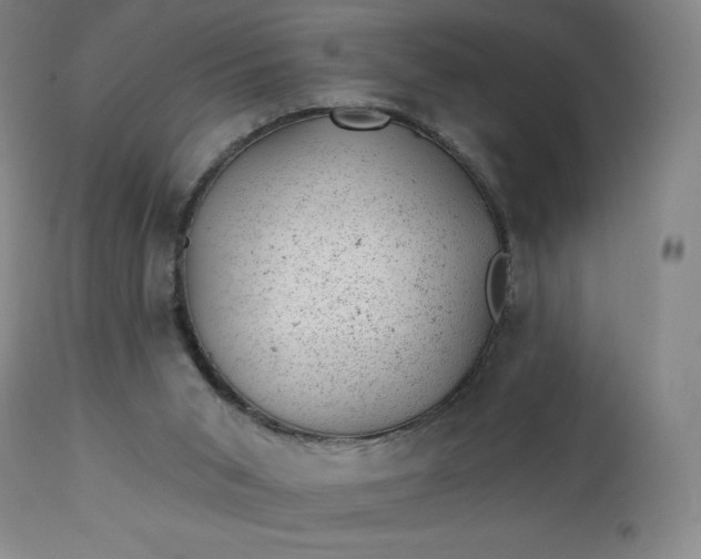 X0000112920015200909080944