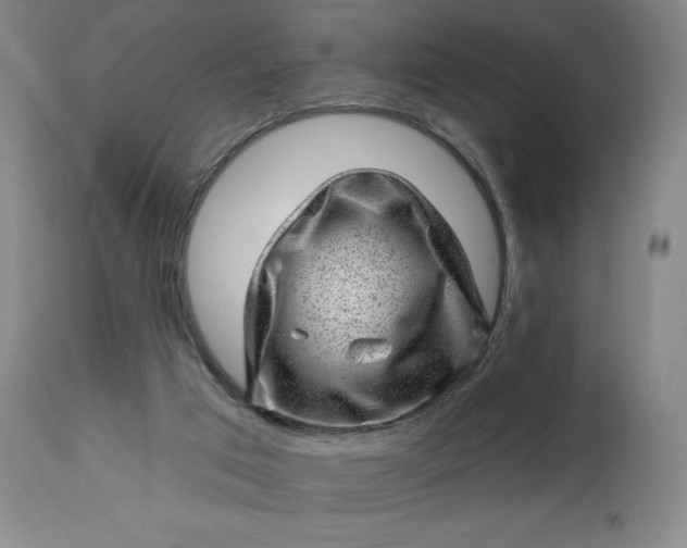 X0000112920017200909080944