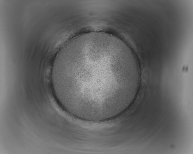 X0000112920018200909080944