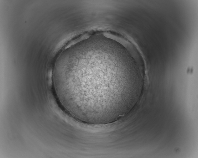 X0000112920019200909080944