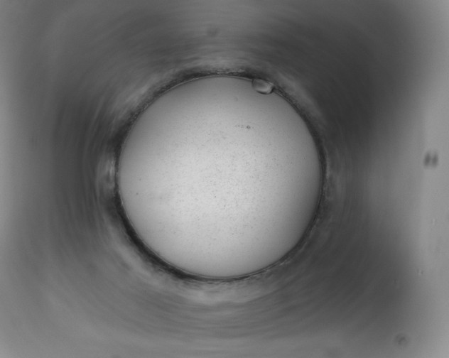 X0000112920021200909080944