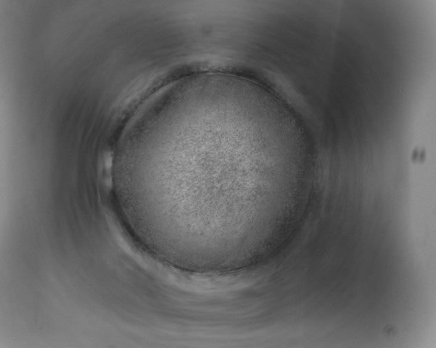 X0000112920022200909080944