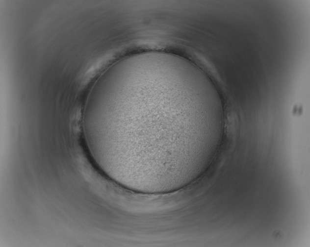 X0000112920023200909080944