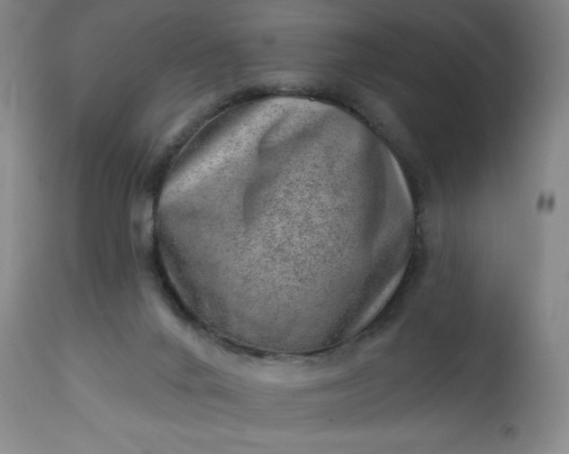 X0000112920024200909080944