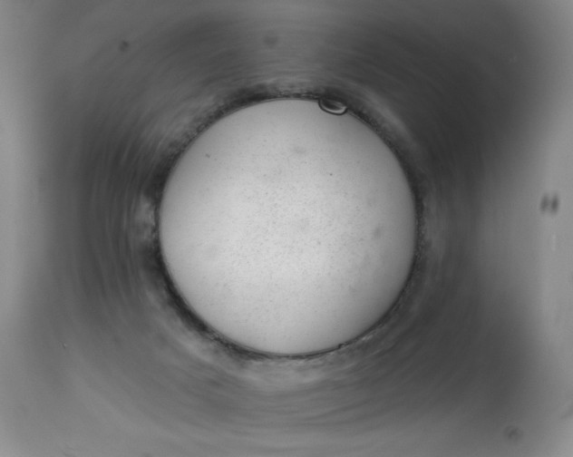 X0000112920025200909080944
