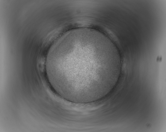 X0000112920026200909080944