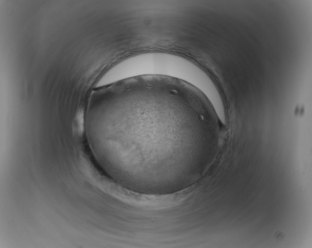 X0000112920027200909080944