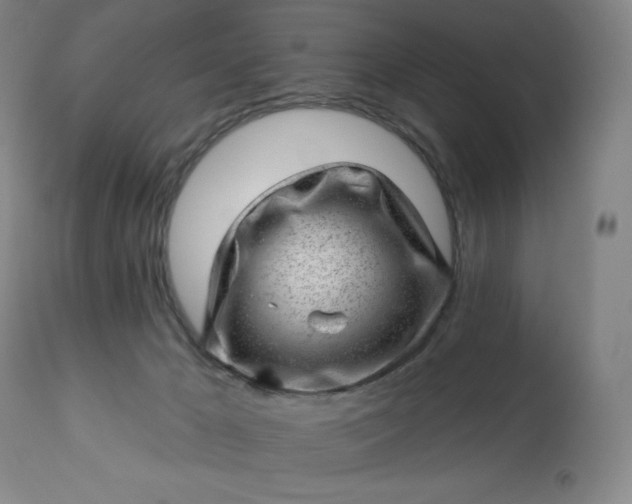 X0000112920029200909080944