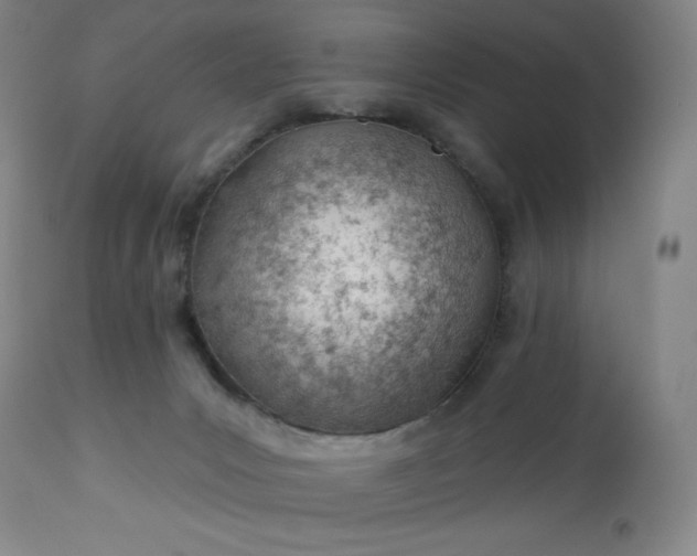 X0000112920031200909080944