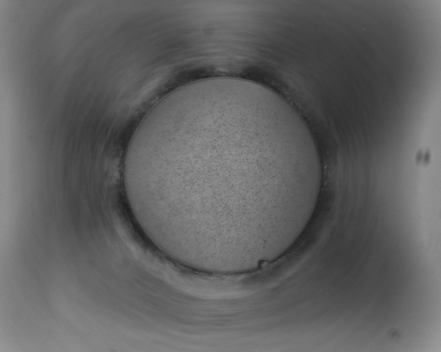 X0000112920032200909080944