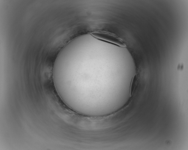 X0000112920033200909080944