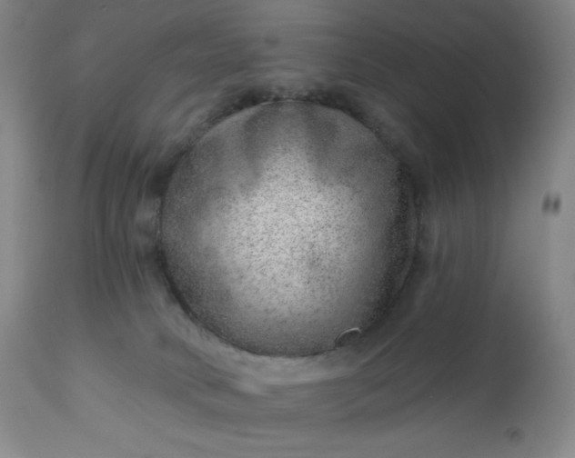 X0000112920034200909080944