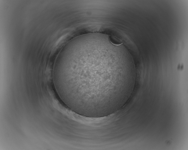 X0000112920035200909080944