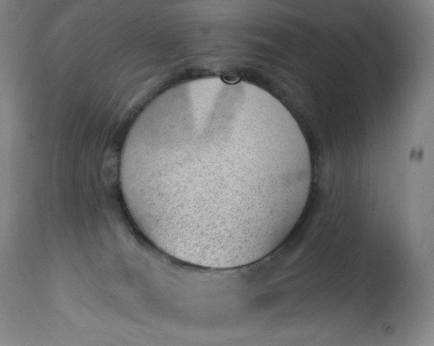 X0000112920036200909080944