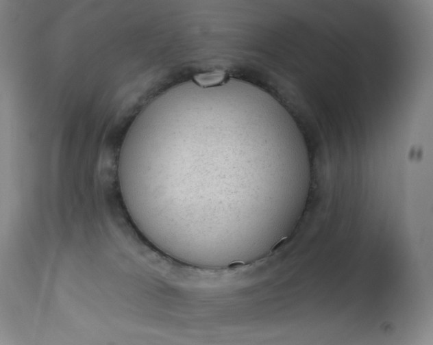 X0000112920037200909080944