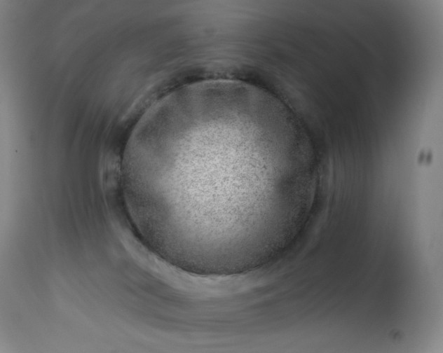 X0000112920038200909080944