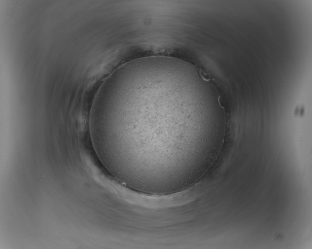 X0000112920039200909080944