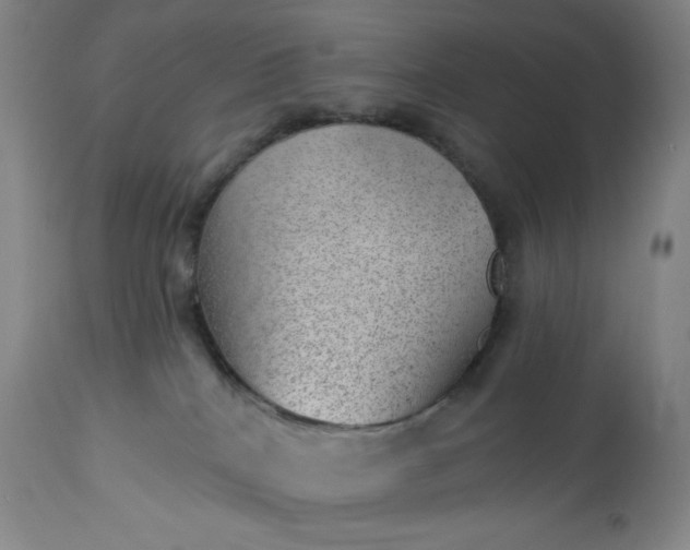 X0000112920040200909080944