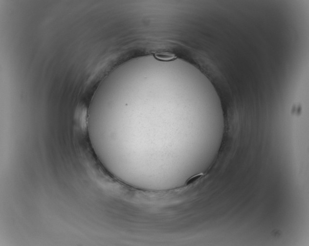 X0000112920041200909080944
