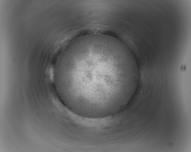X0000112920042200909080944