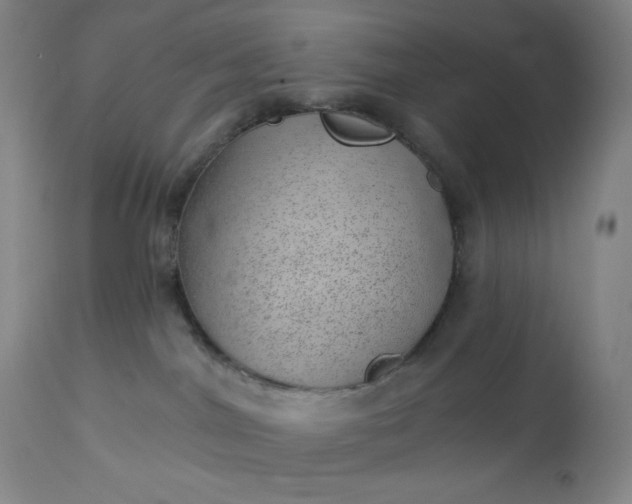 X0000112920044200909080944