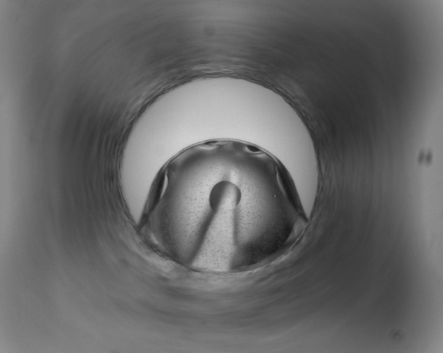 X0000112920045200909080944