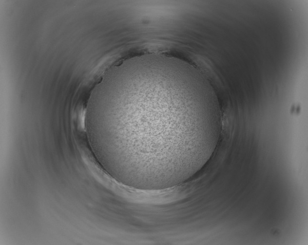 X0000112920046200909080944